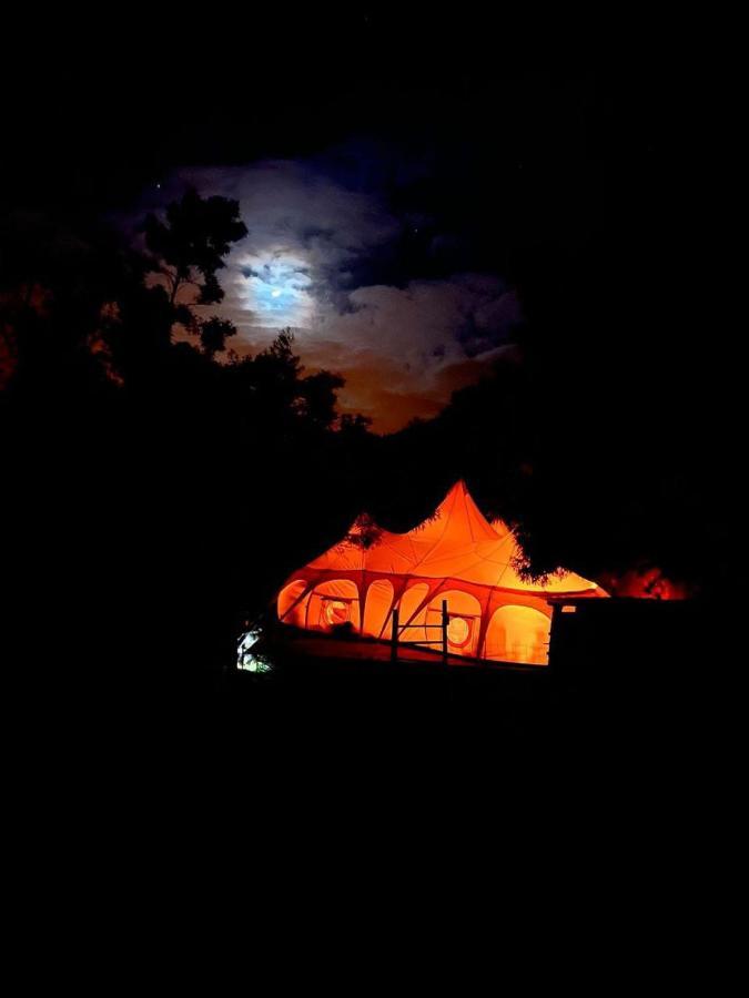 Campsite Arambha Ecovillage Tabua (Madeira)
