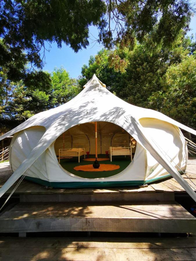 Campsite Arambha Ecovillage Tabua (Madeira)