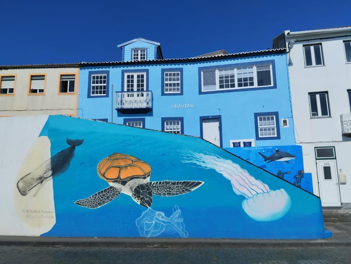 Seastar Nº38 * Horta (Azores)