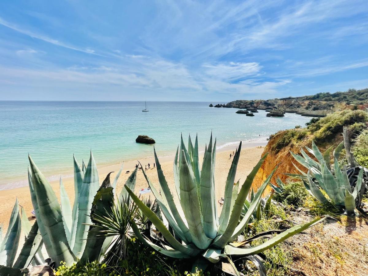 Sublimar - Beachfront - Tv Terrace - Nightlife * Portimao