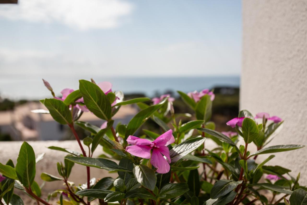 Coral By * Albufeira