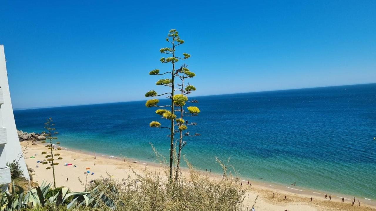 Apartamento Sun&sea - Beachfront Apartment!