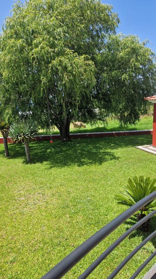 Henrique Country
