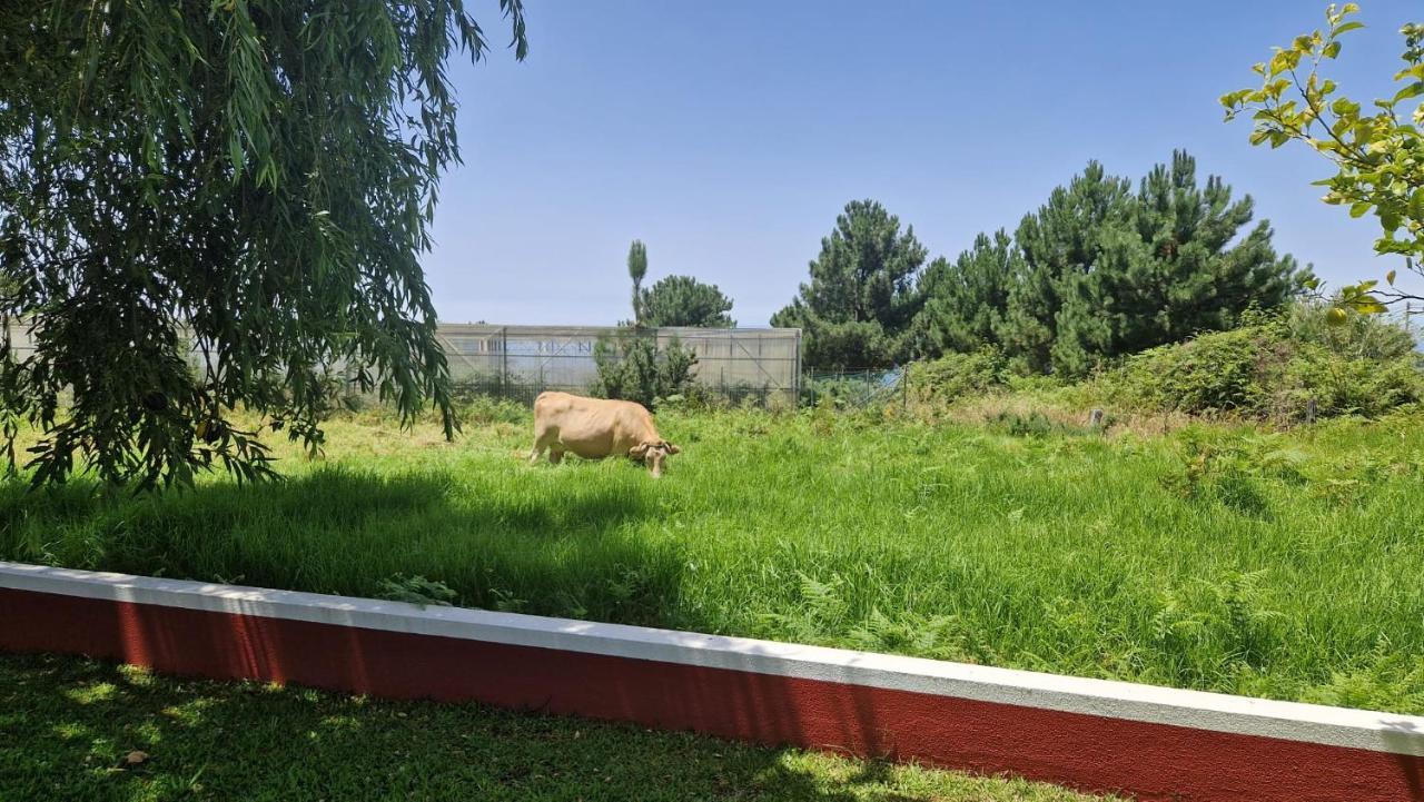 Holiday home Henrique Country