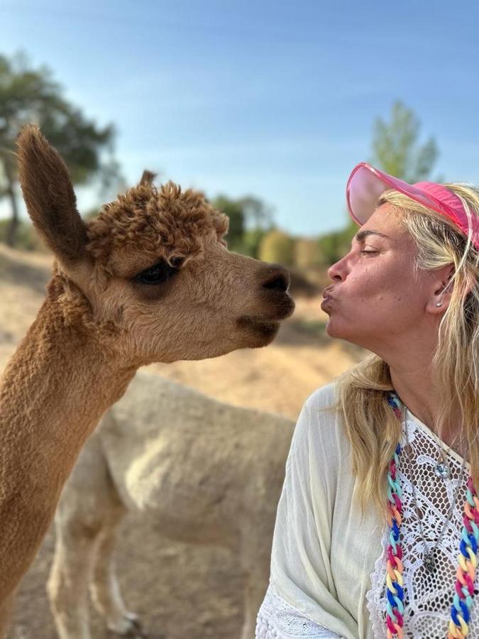 Alpaca Farm And - Mama Adama *