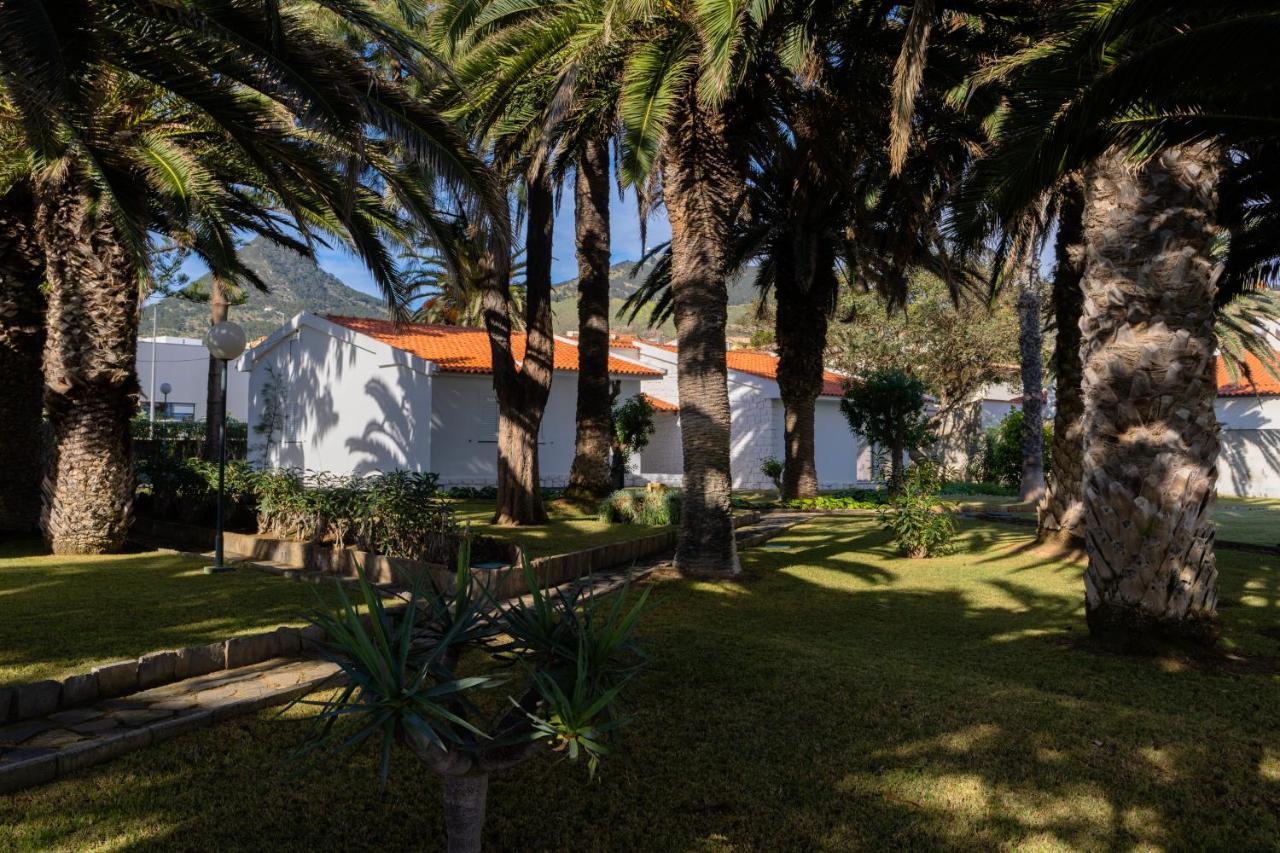Dune Coliving Porto Santo
