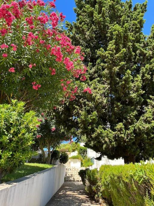 Apartment Casa Oliveira - Algarve *