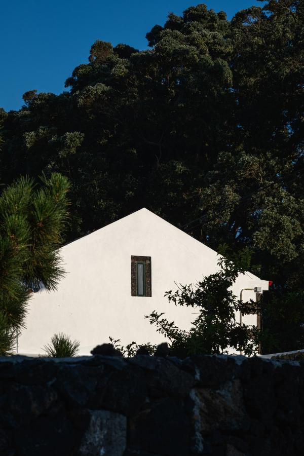 Farm stay Entre Muros - - Casa Com Jardim E Acesso Direto Ao Mar