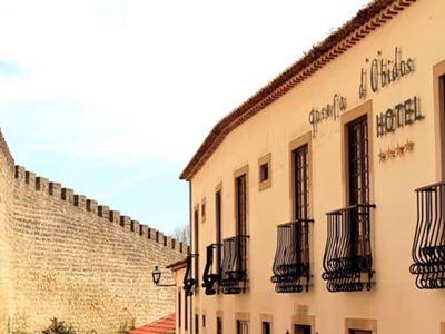 Josefa D'obidos