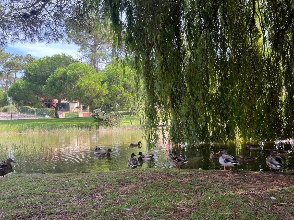 A Beira - Casa De Ferias *