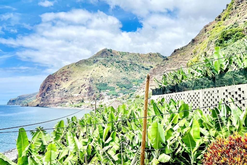 Apartment Paulo By Your Madeira Rentals *