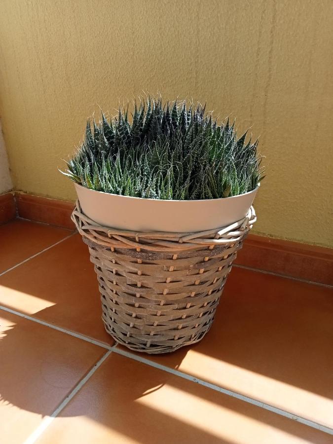 Apartamento Sunrise *