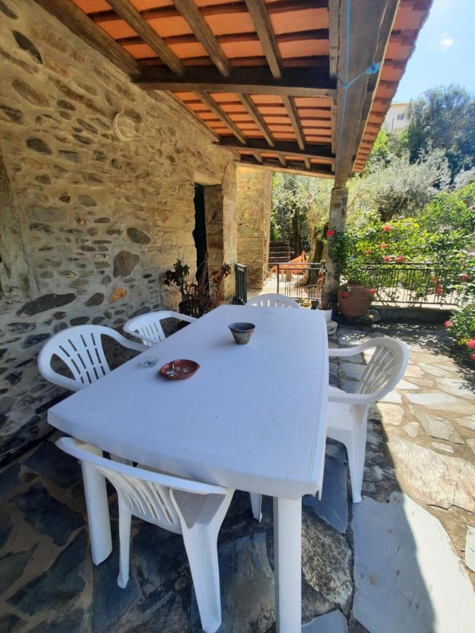 Casa Penafalcao Holiday home