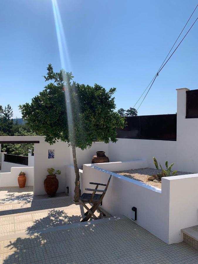 Casa Da Oliveira Bed & Breakfast