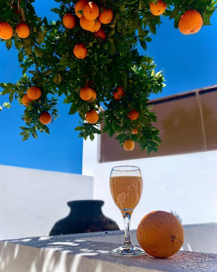 Bed & Breakfast Casa Da Oliveira