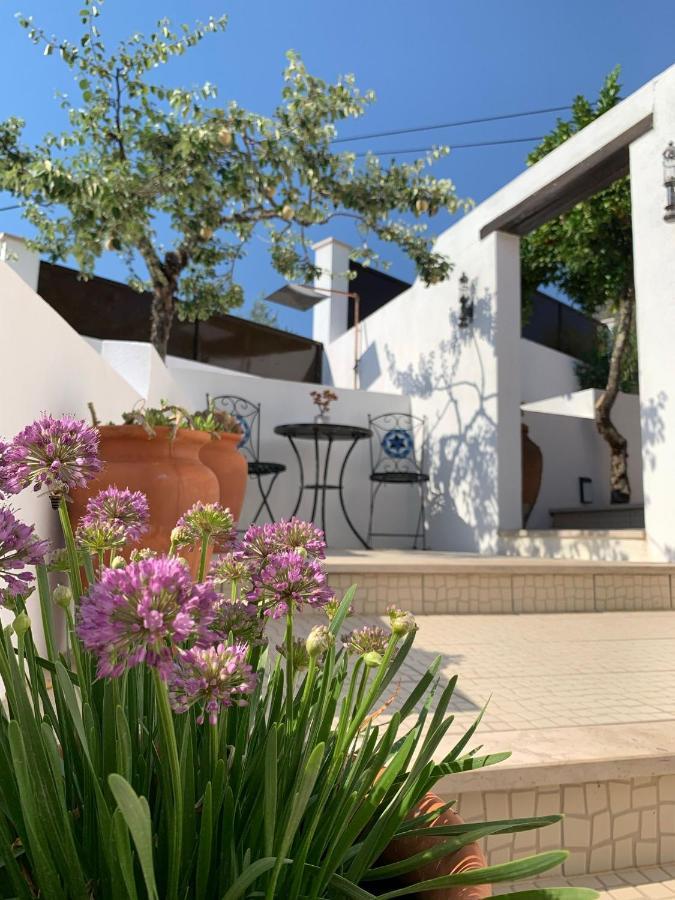 Casa Da Oliveira Pedrogao Grande