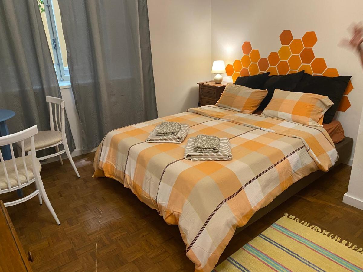 Barao 35 * Braga