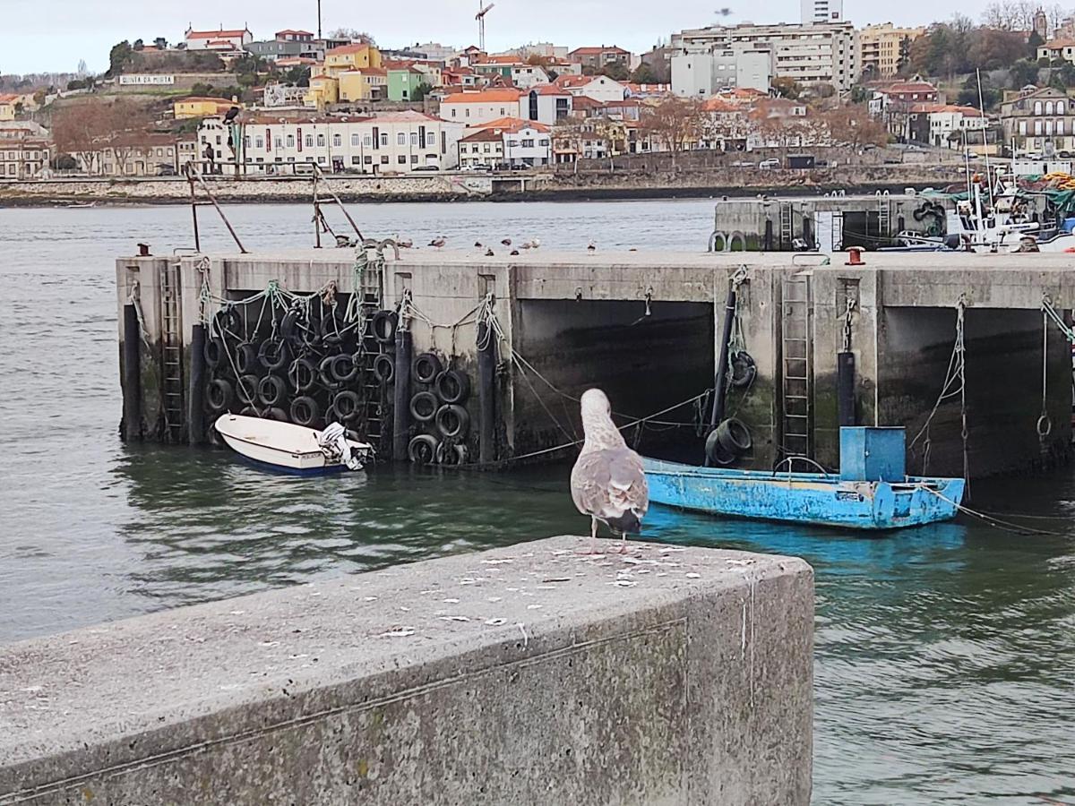 Douro Porto View Apartment *