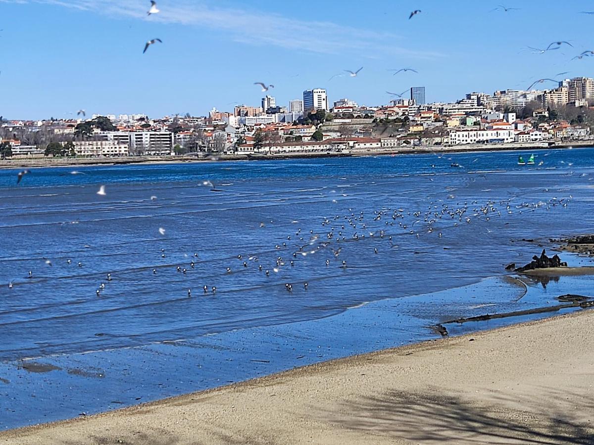 Douro Porto View Vila Nova de Gaia