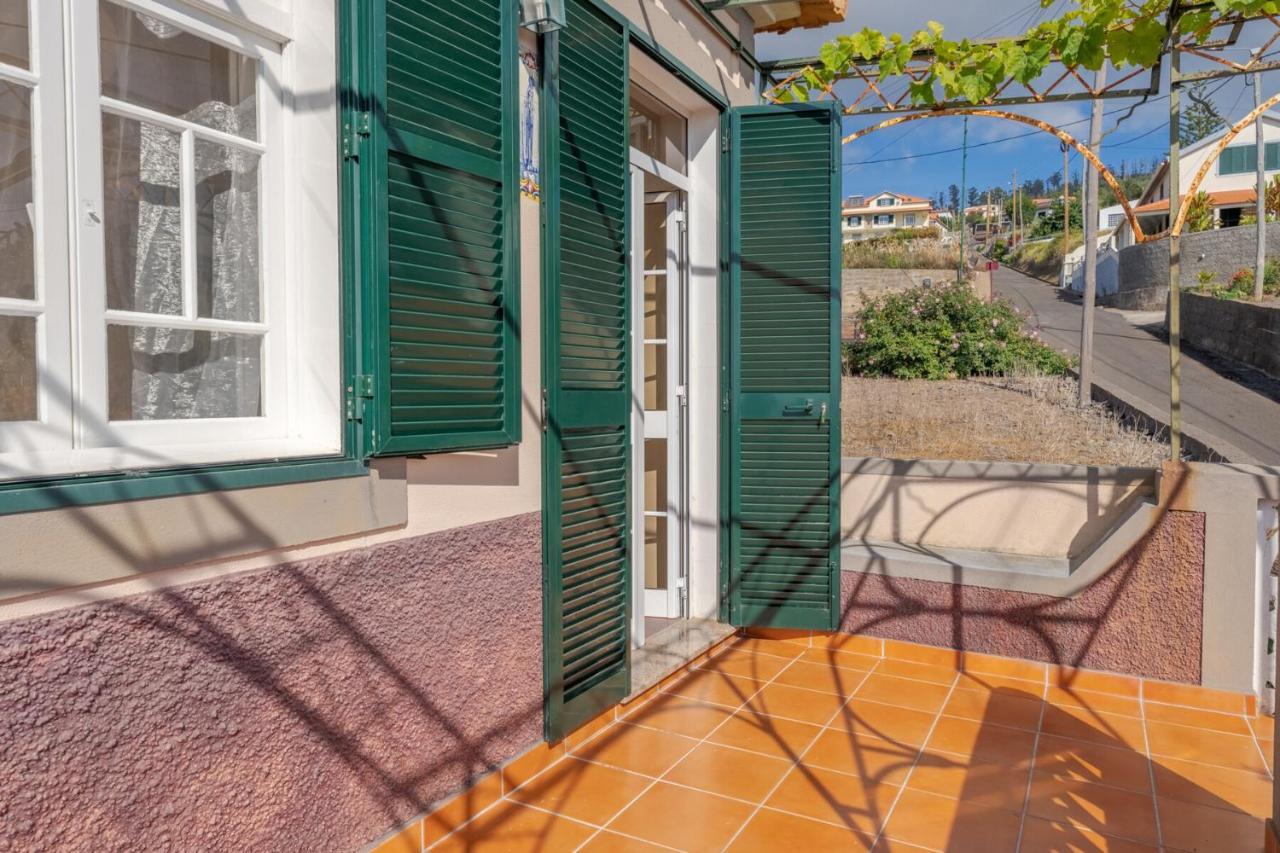 Cozy Flora By Hr Madeira