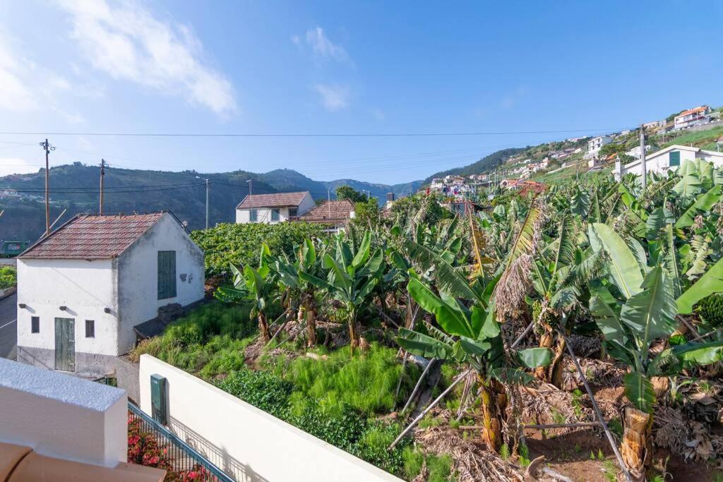 Apartment Branco's By Galmi Ponta do Sol (Madeira)