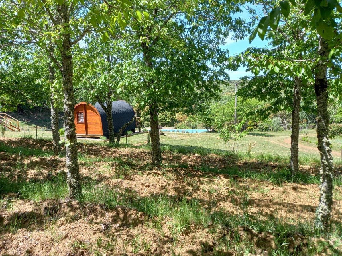 Quinta Da Devesa -b2 Holiday park *
