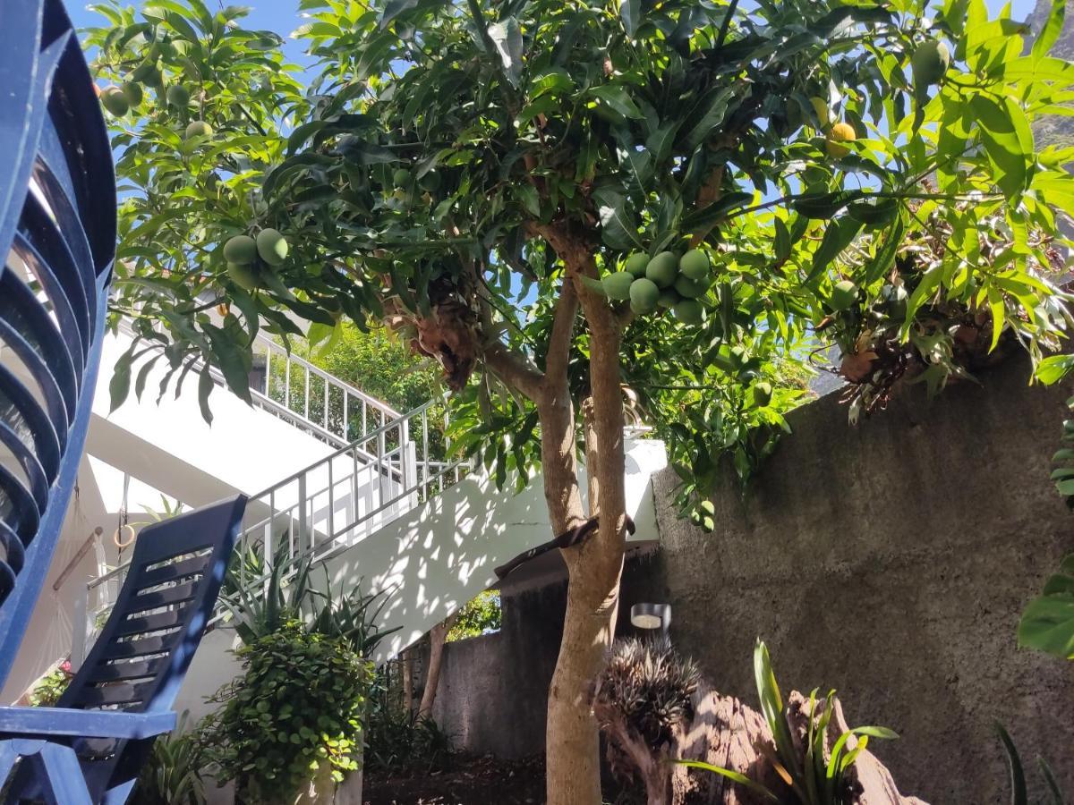 Homestay Casa Da Avo Rosa