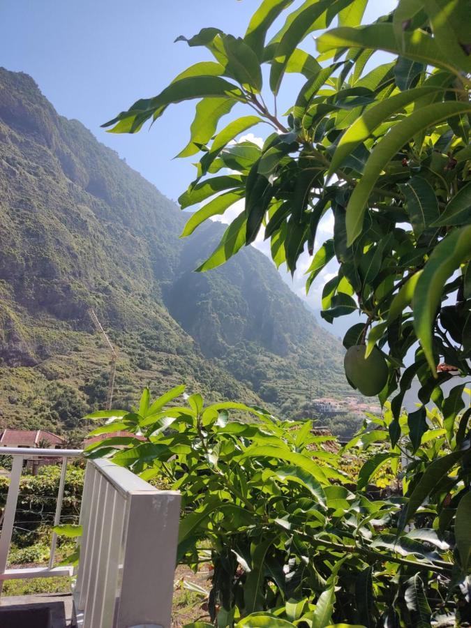 Homestay Casa Da Avo Rosa Sao Vicente (Madeira)
