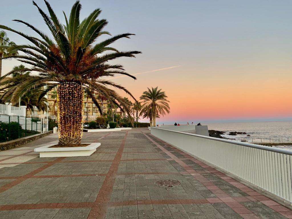 Lua Do Mar Canico (Madeira)
