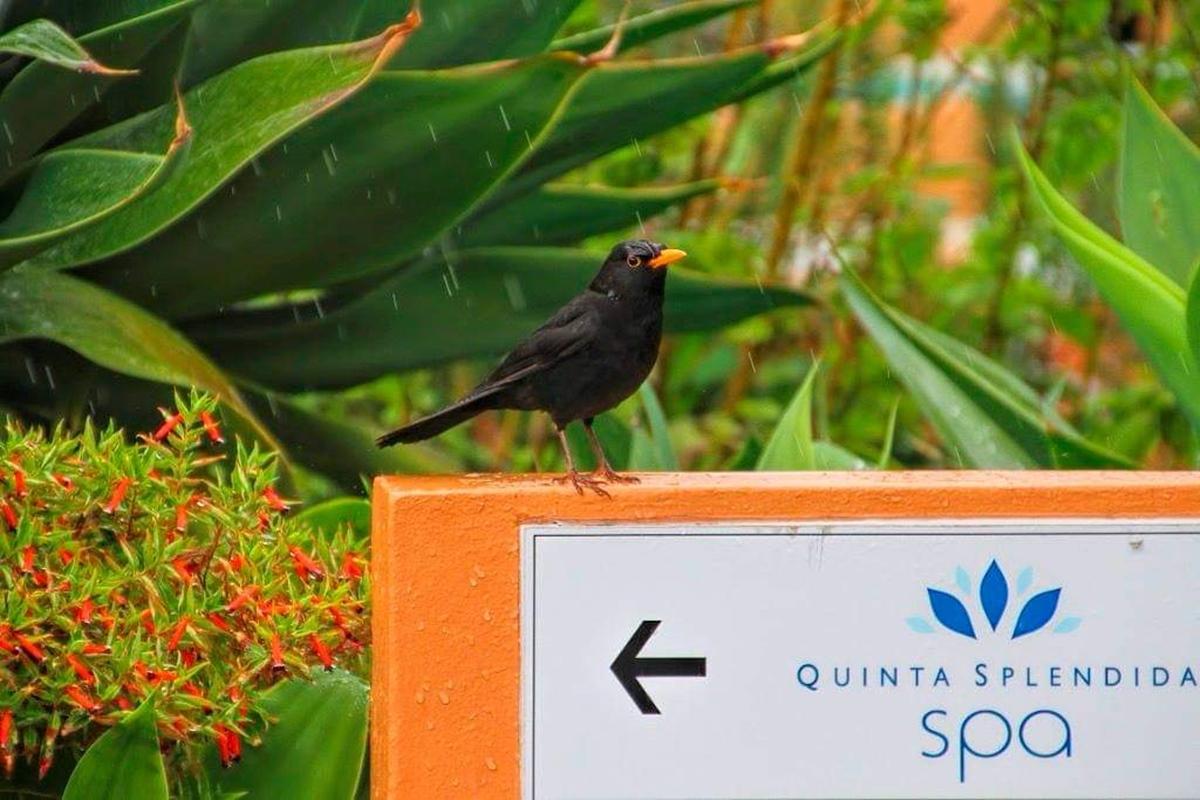 Quinta Splendida Wellness & Botanical Garden
