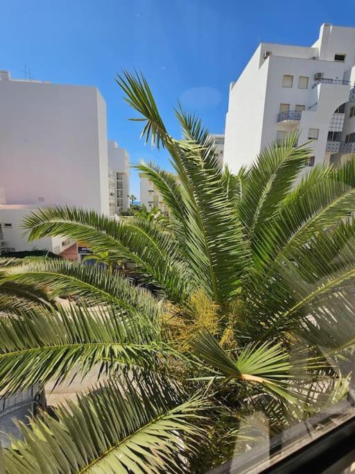 Apartment Rosa&mar R05