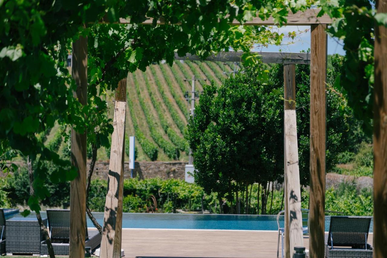 Quinta Vale De Sousa - Douro Valley