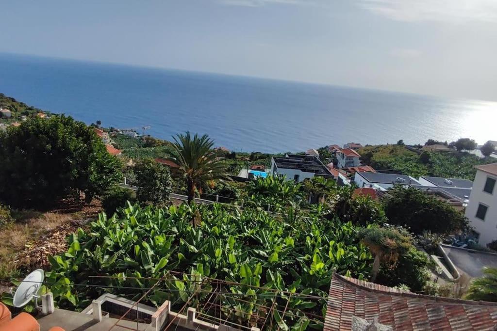 Sunny Rooftop & Perfect View Appartement Arco da Calheta (Madeira)