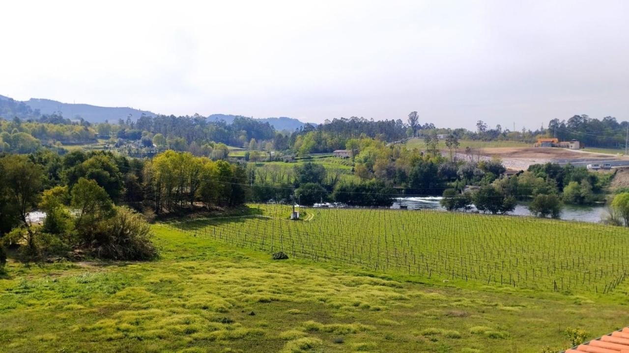 Farm stay Quinta Do Burgo - Nature