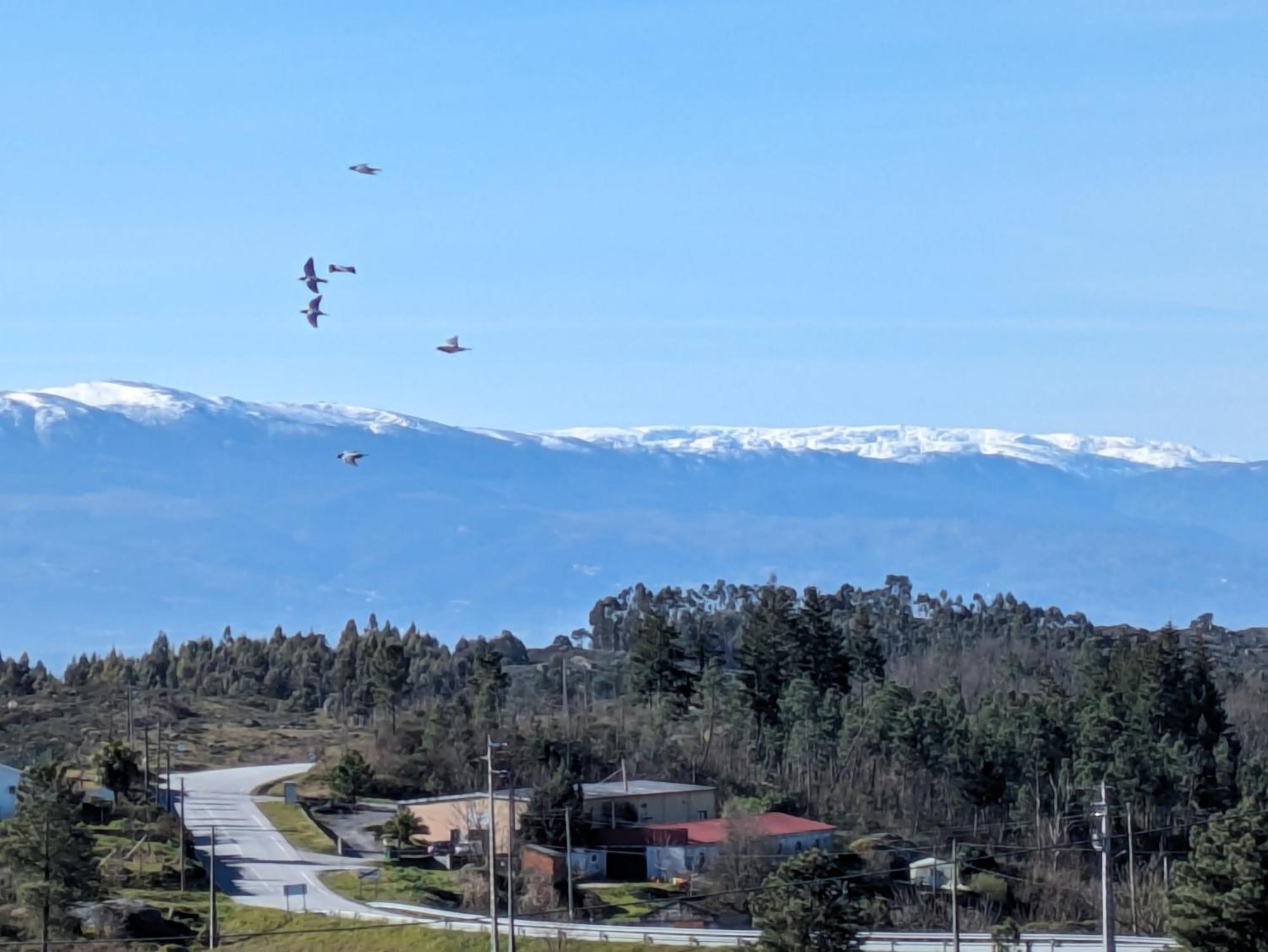 Casas Da Fraga - Serra Da Estrela Holiday home *