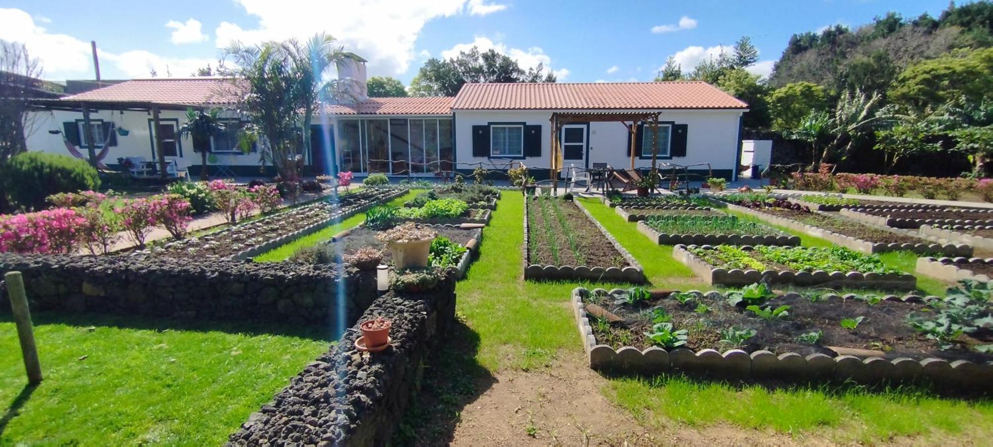 Quinta Dos Sentidos , Rustic Holiday Houses In Sao Vicente Ferreira