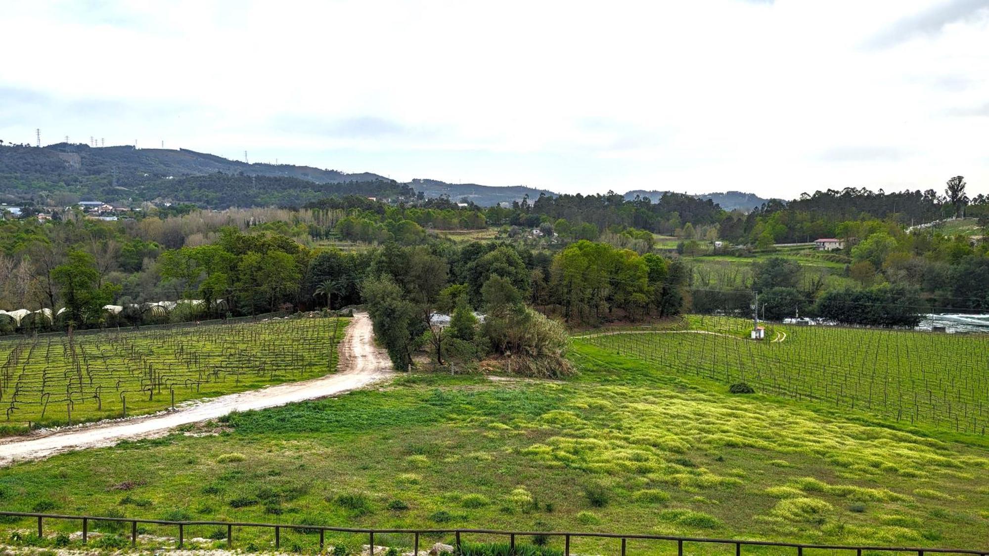 Quinta Do Burgo - Nature *