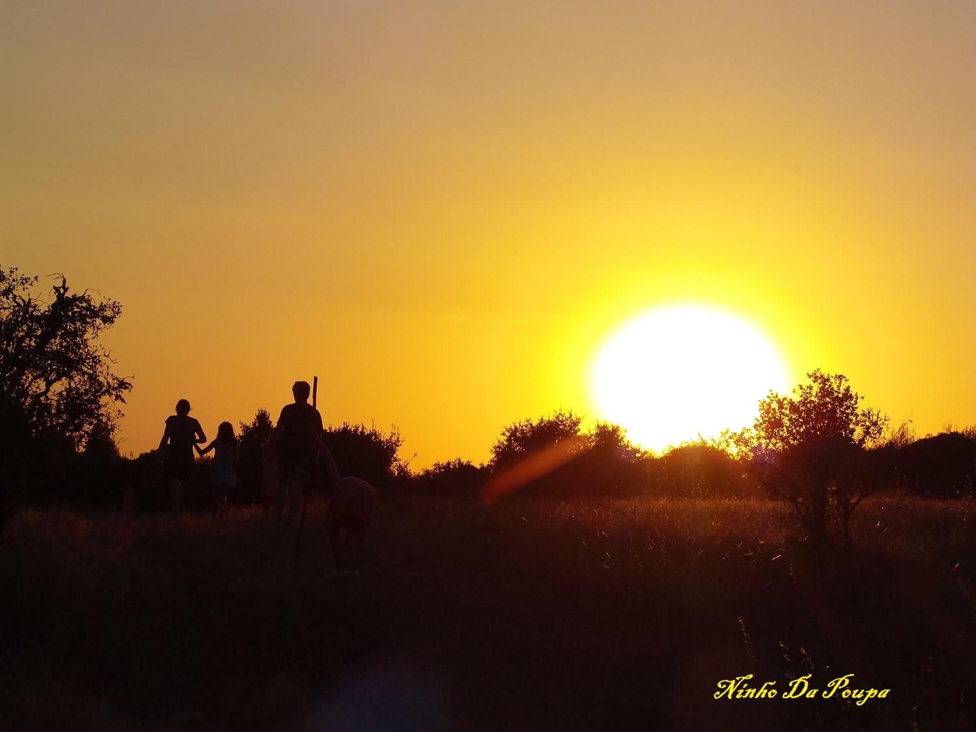 Ninho Da Poupa Country house Serpa