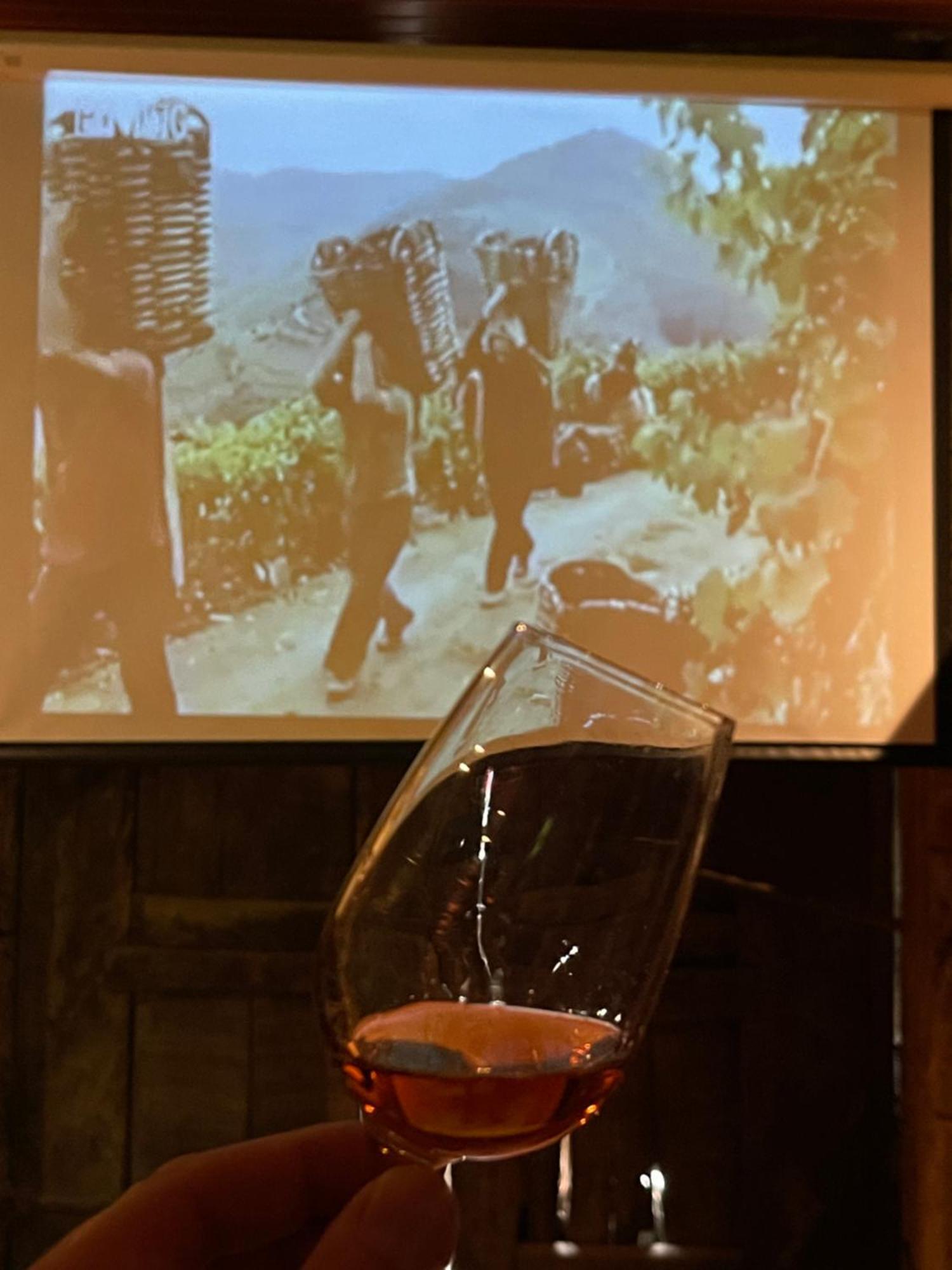 Casa Dos Barros Winery By Vintage Theory Farm stay *