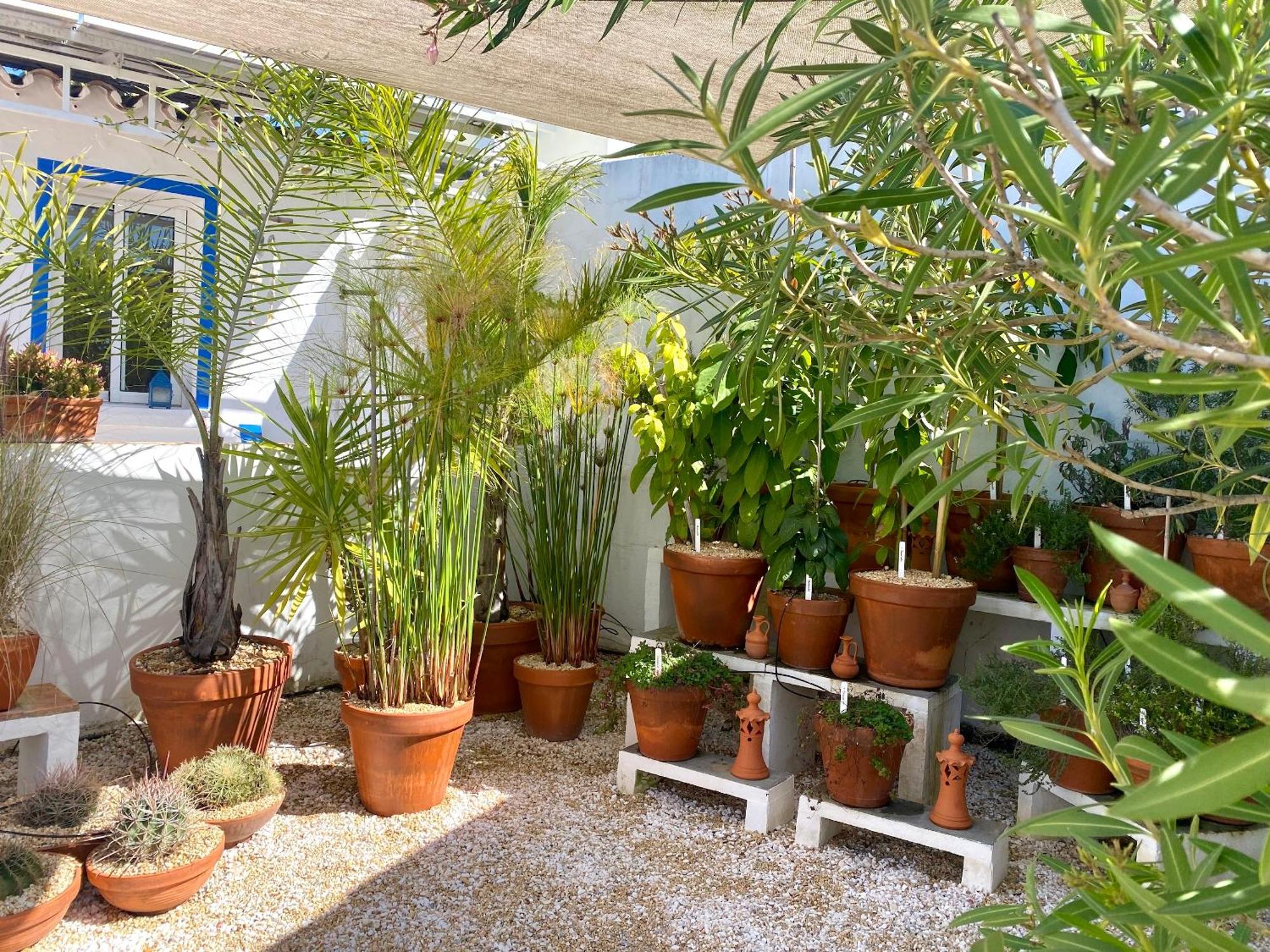 Casa Da Aldeia Holiday home Santa Barbara de Nexe