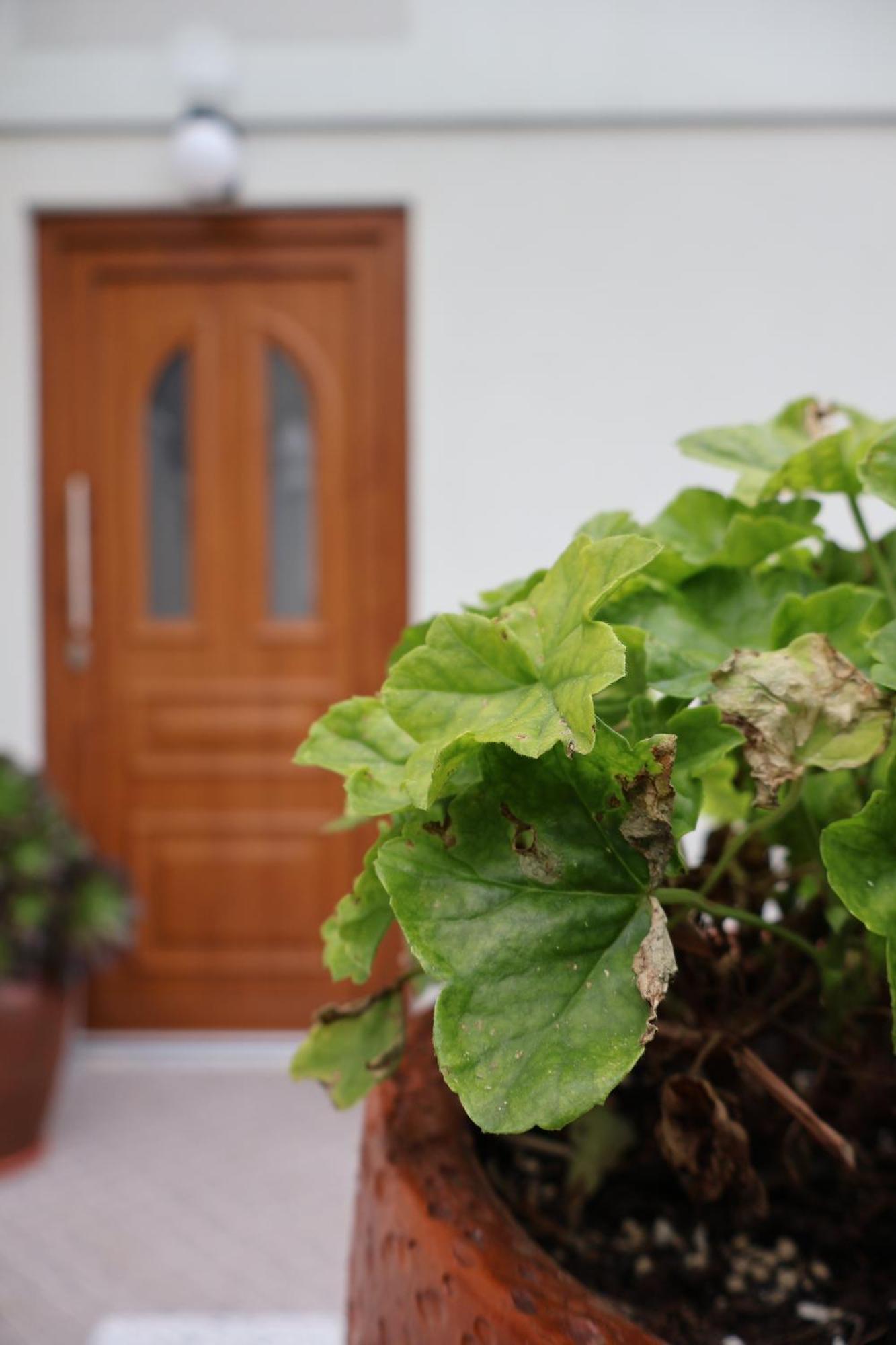 Casa Chaes Acomodação com café da manhã 