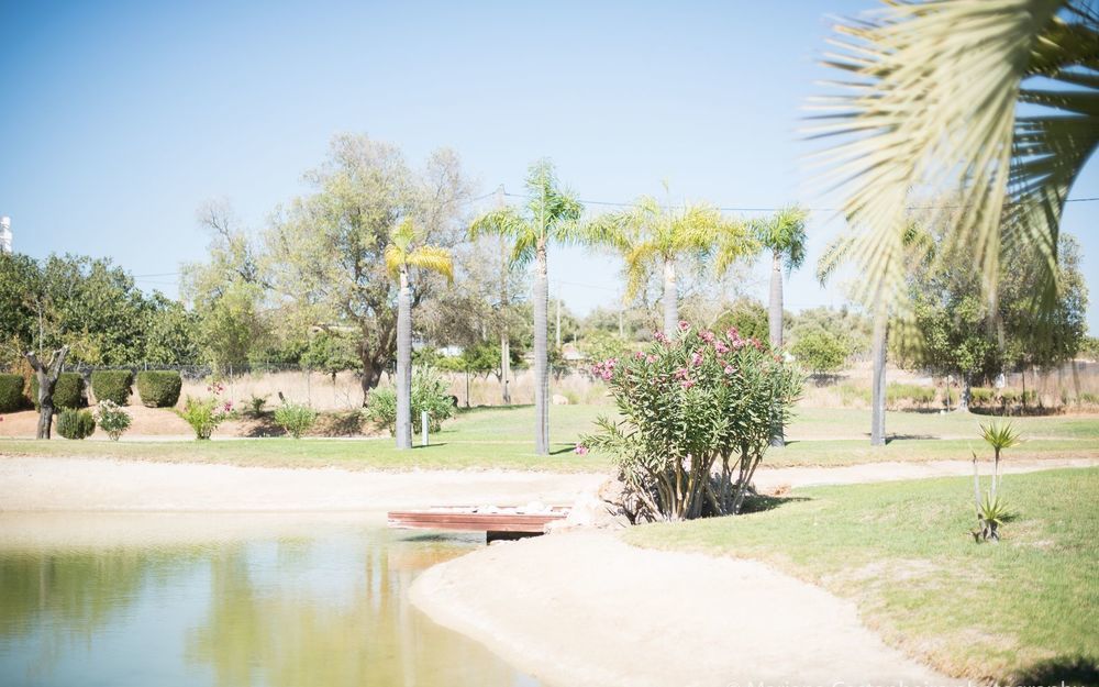 Yellow Garden Alvor