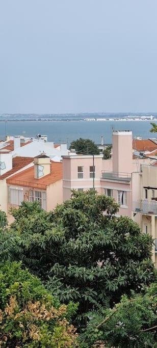 Homestay Coliving In Center Long-term