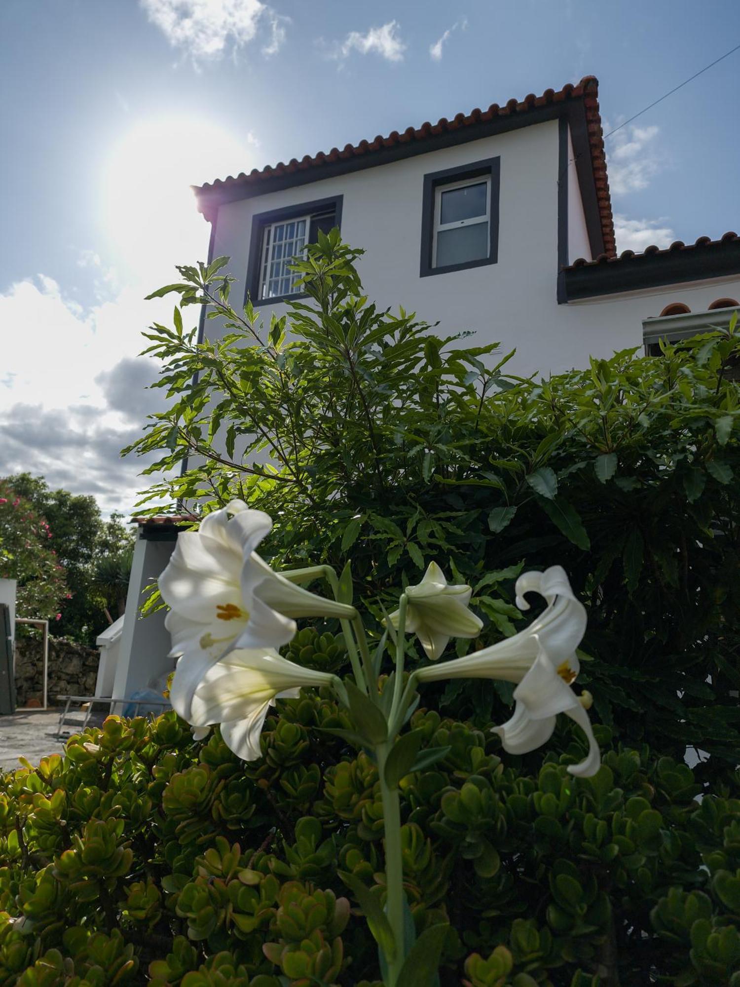 Loving Strangers Hostal Madalena (Azores)