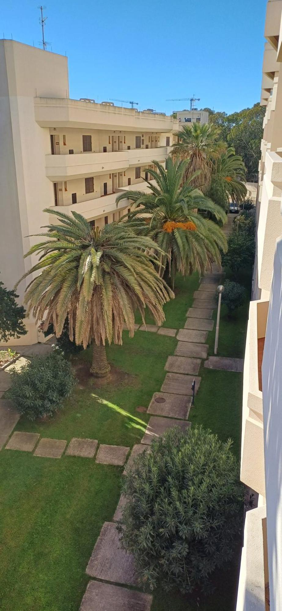 Above The Beach, 10 Min From The Center - Casa Da Tartaruga Apartment
