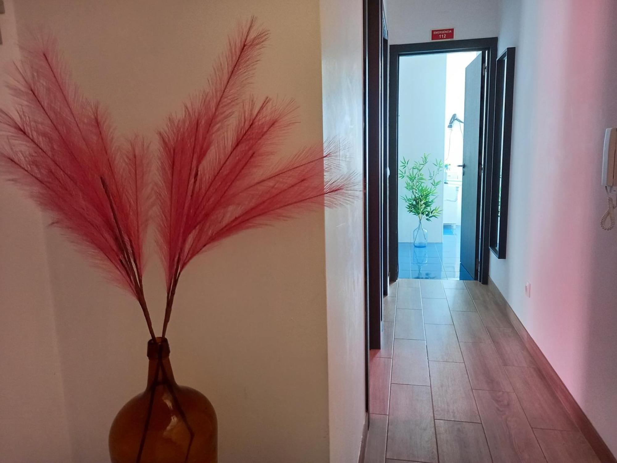 Friendly Apartamento