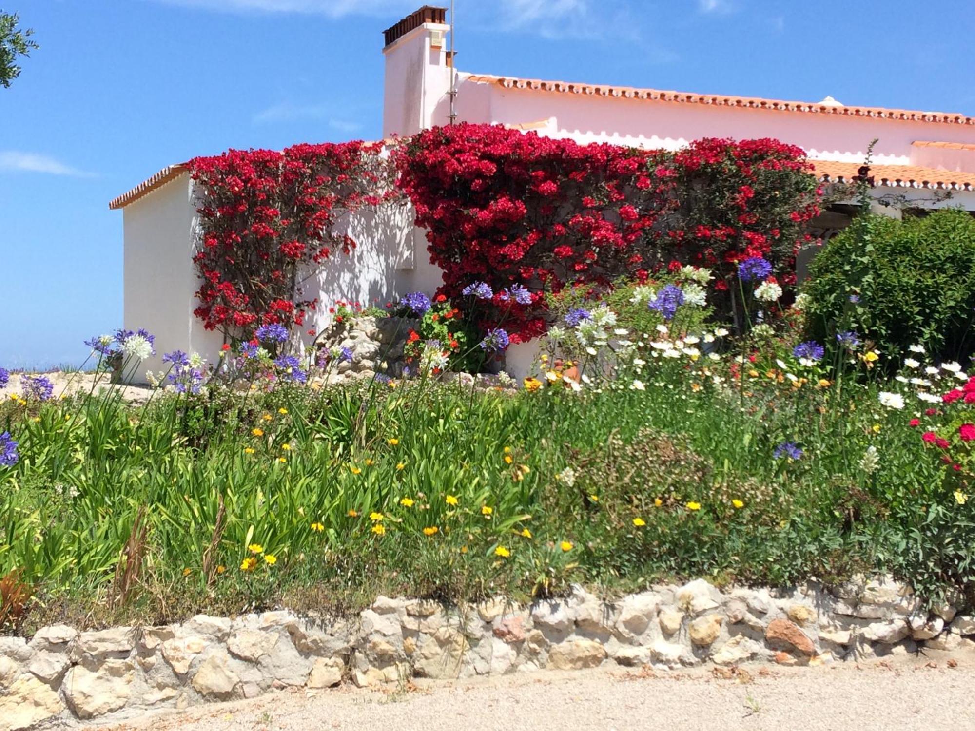 Sea House Sesimbra