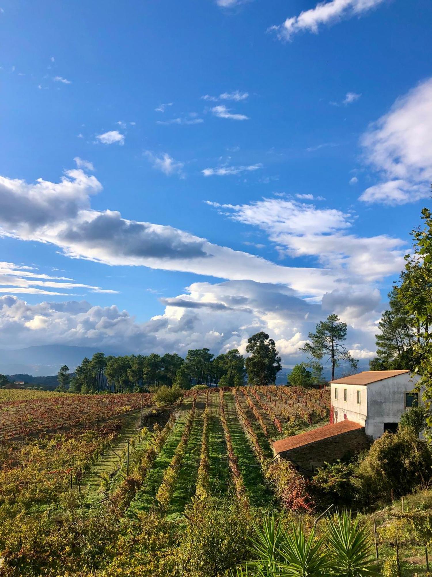 Guest house Quinta Da Estrada Winery Douro Valley