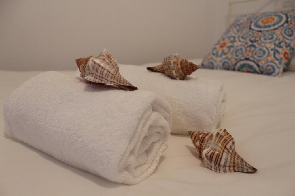 Surf & Beach Apartment