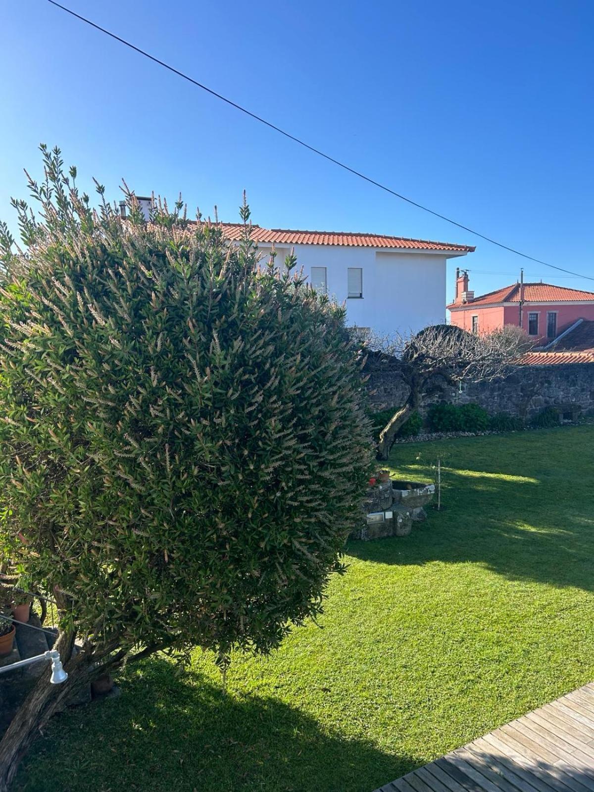 Holiday park Casa Do Sorrio Viana do Castelo